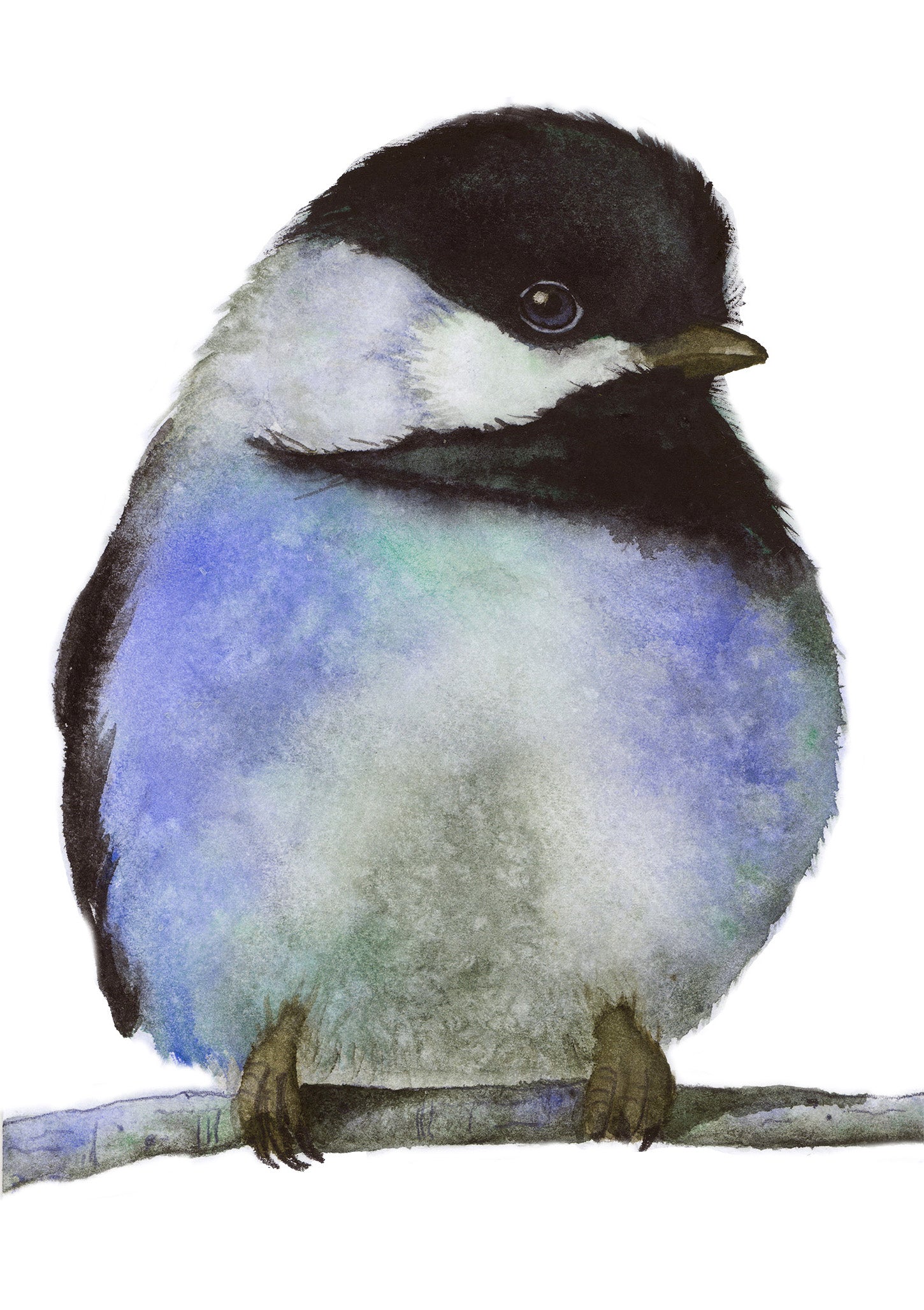 warhol-chickadee-blue-watercolor-art-print-1