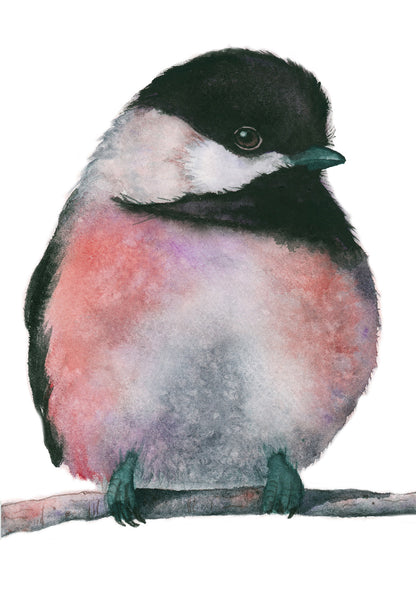 warhol-chickadee-pink-watercolor-art-print-1